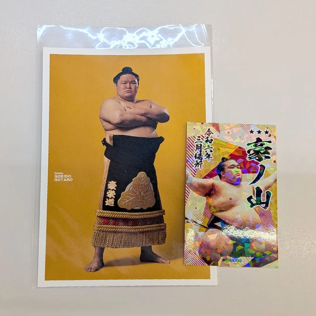 2026年最新】豪栄道の人気アイテム - メルカリ