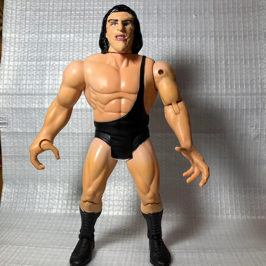 2026年最新】アンドレザジャイアント フィギュアの人気アイテム - メルカリ