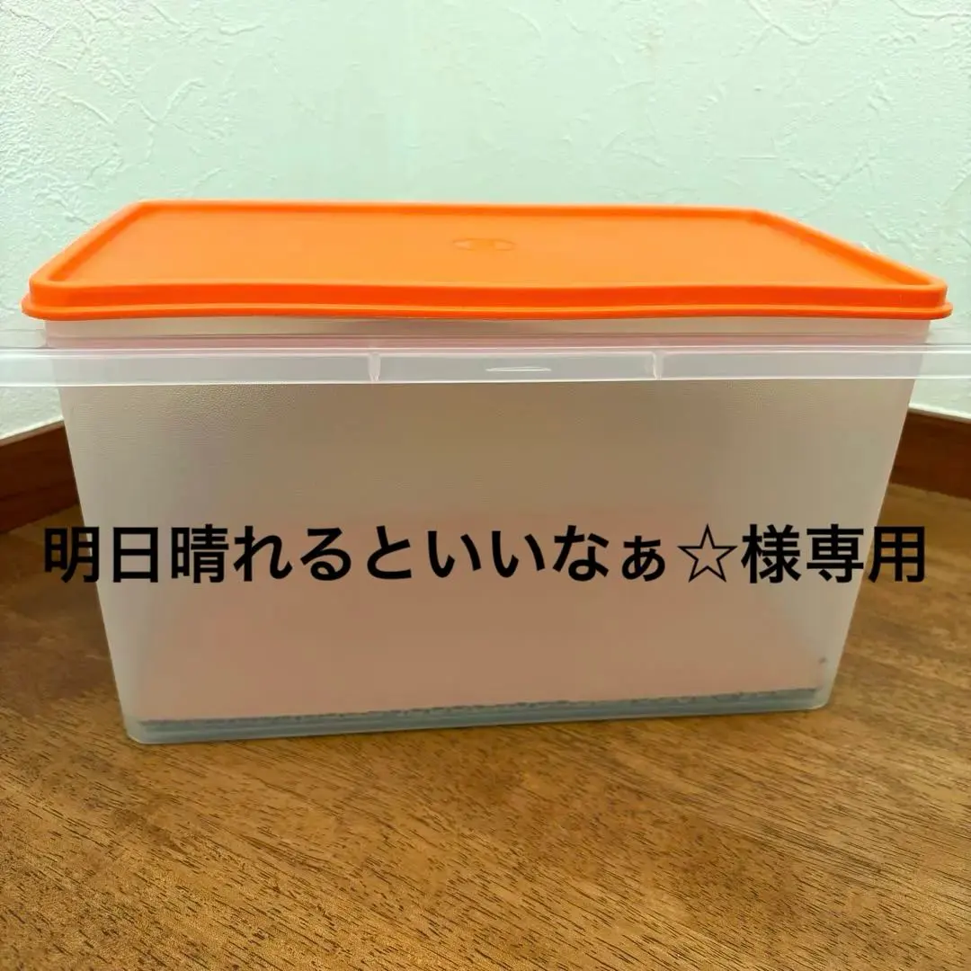 2026年最新】タッパーウェア5キロキーパーの人気アイテム - メルカリ