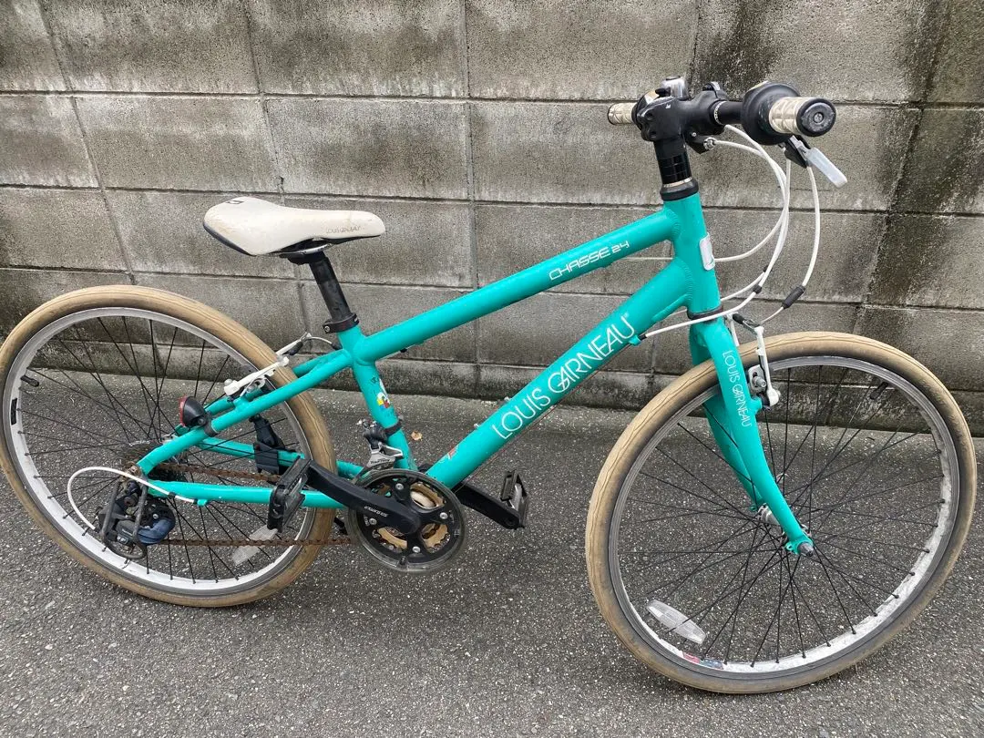 2026年最新】ミニベロ ルイガノの人気アイテム - メルカリ