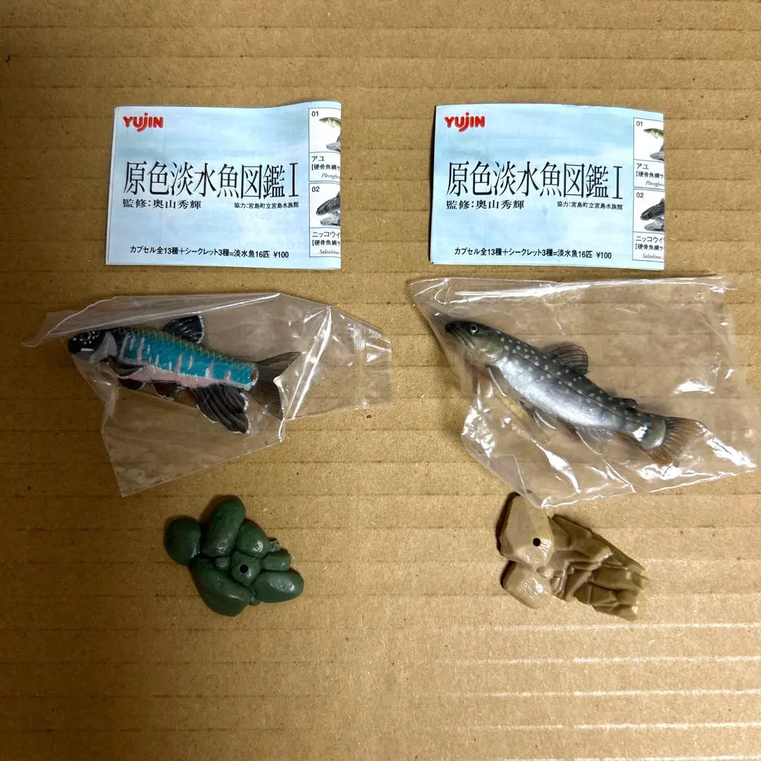 m49544127393_1.jpg?1765460202