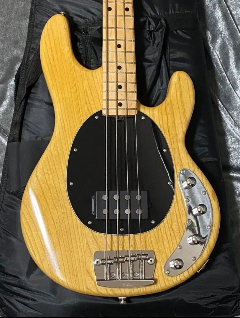 2026年最新】スティングレイ ベース ピックガードの人気アイテム