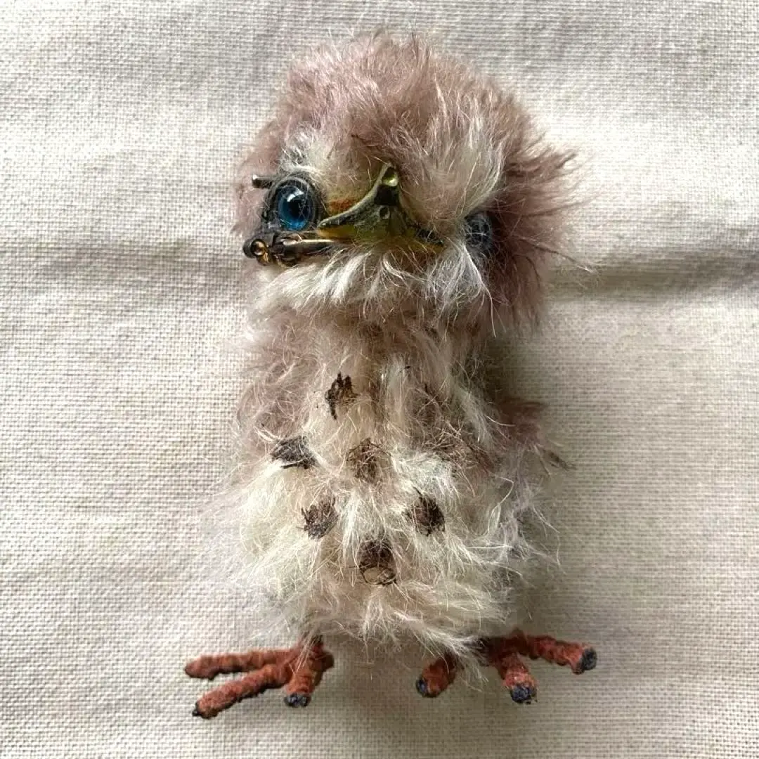 m50889508192_1.jpg?1763896378