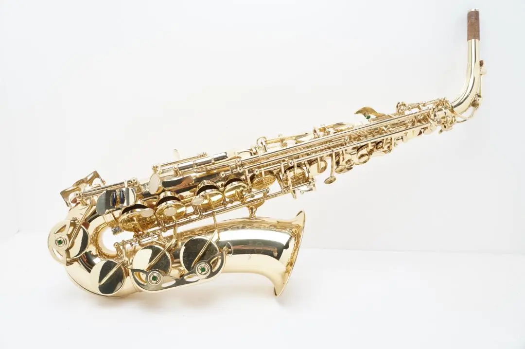 2026年最新】selva サックスの人気アイテム - メルカリ