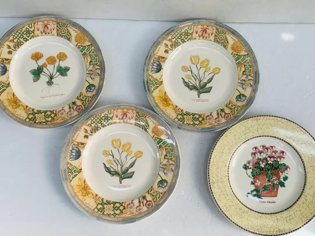 2026年最新】ウェッジウッド ガーデンメイズの人気アイテム - メルカリ