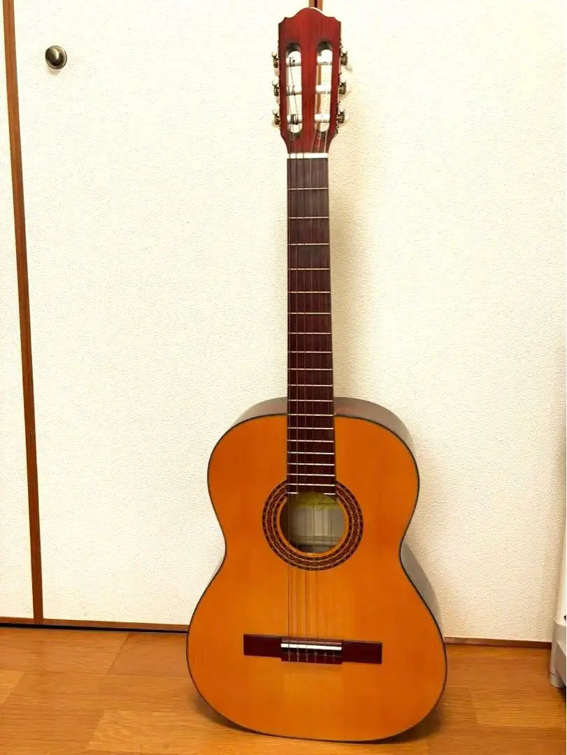 2026年最新】HORA ギターの人気アイテム - メルカリ