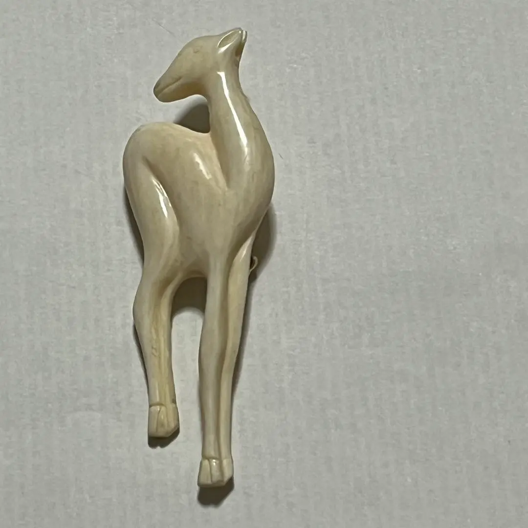 2026年最新】鯨歯 パイプの人気アイテム - メルカリ