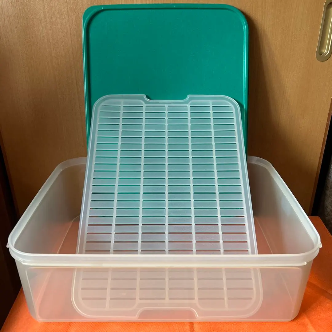 2026年最新】タッパーウェア MMダブル すのこの人気アイテム - メルカリ