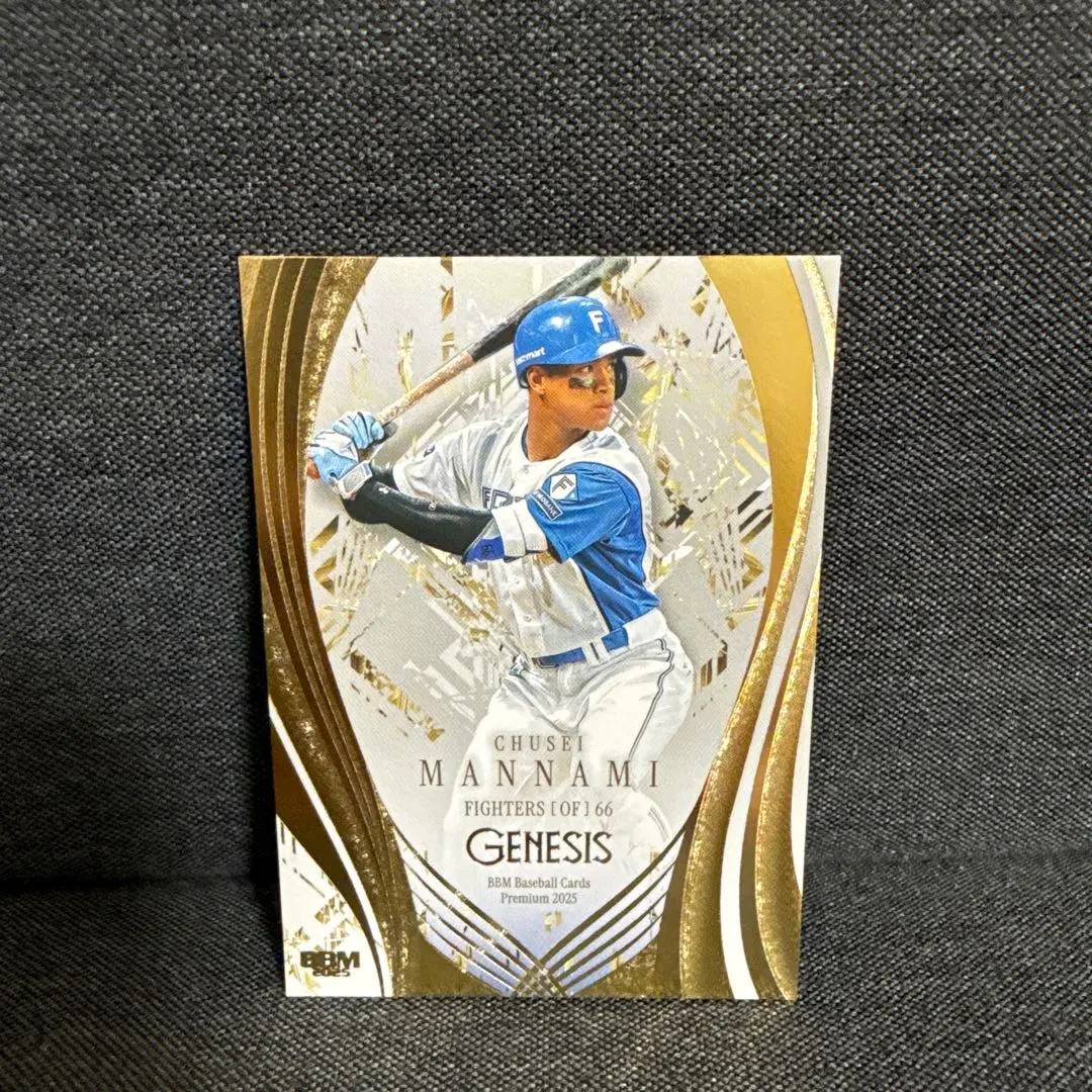 2026年最新】万波中正 グローブの人気アイテム - メルカリ