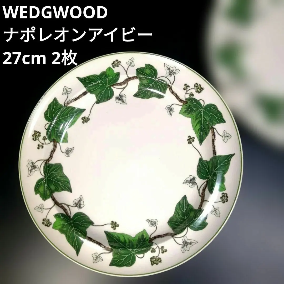 2026年最新】ナポレオンアイビーの人気アイテム - メルカリ