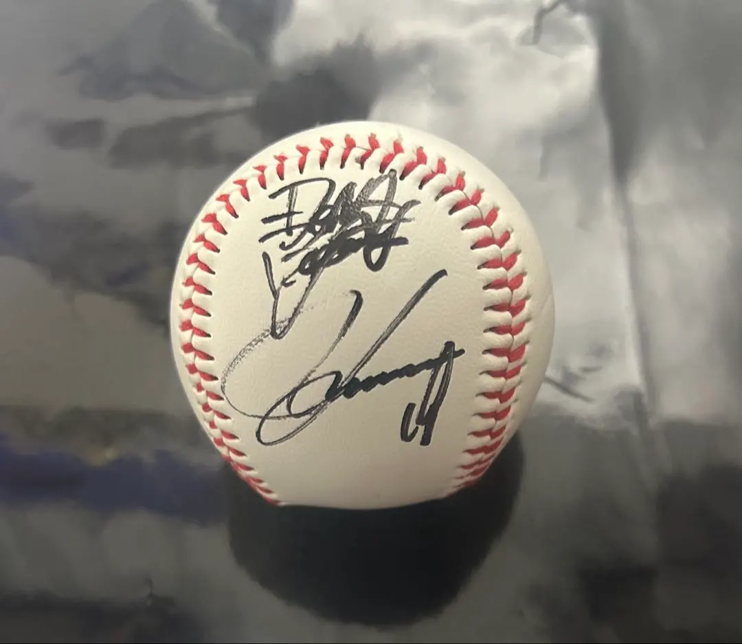 2026年最新】康晃 サインボールの人気アイテム - メルカリ