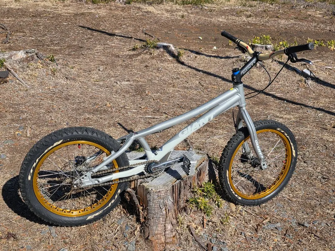 2026年最新】GIANT TRIALSの人気アイテム - メルカリ