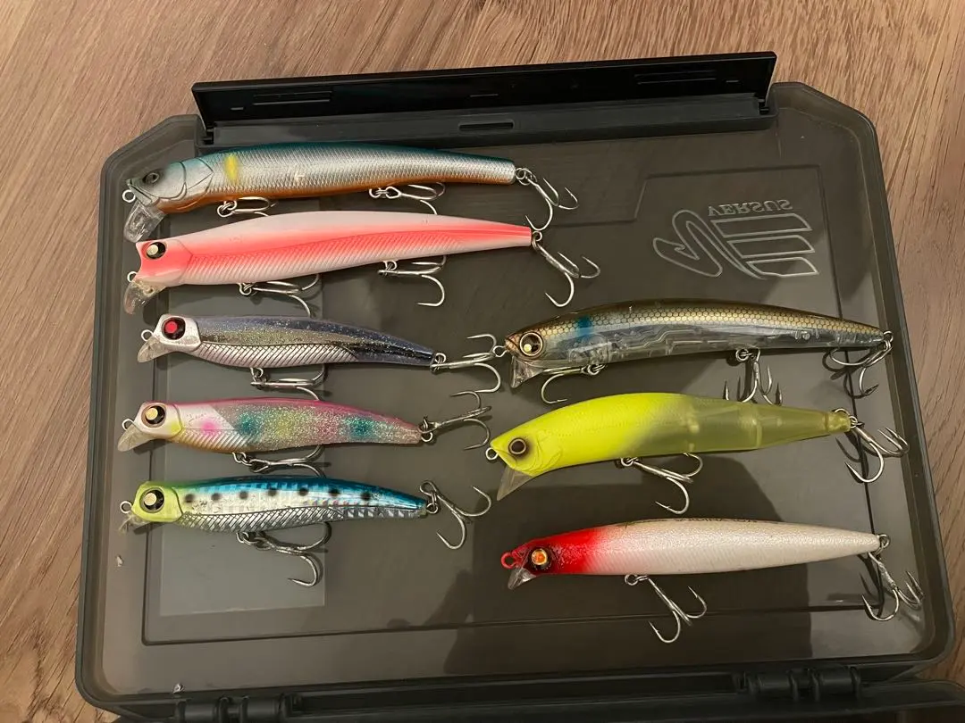 m54444695627_1.jpg?1769085764