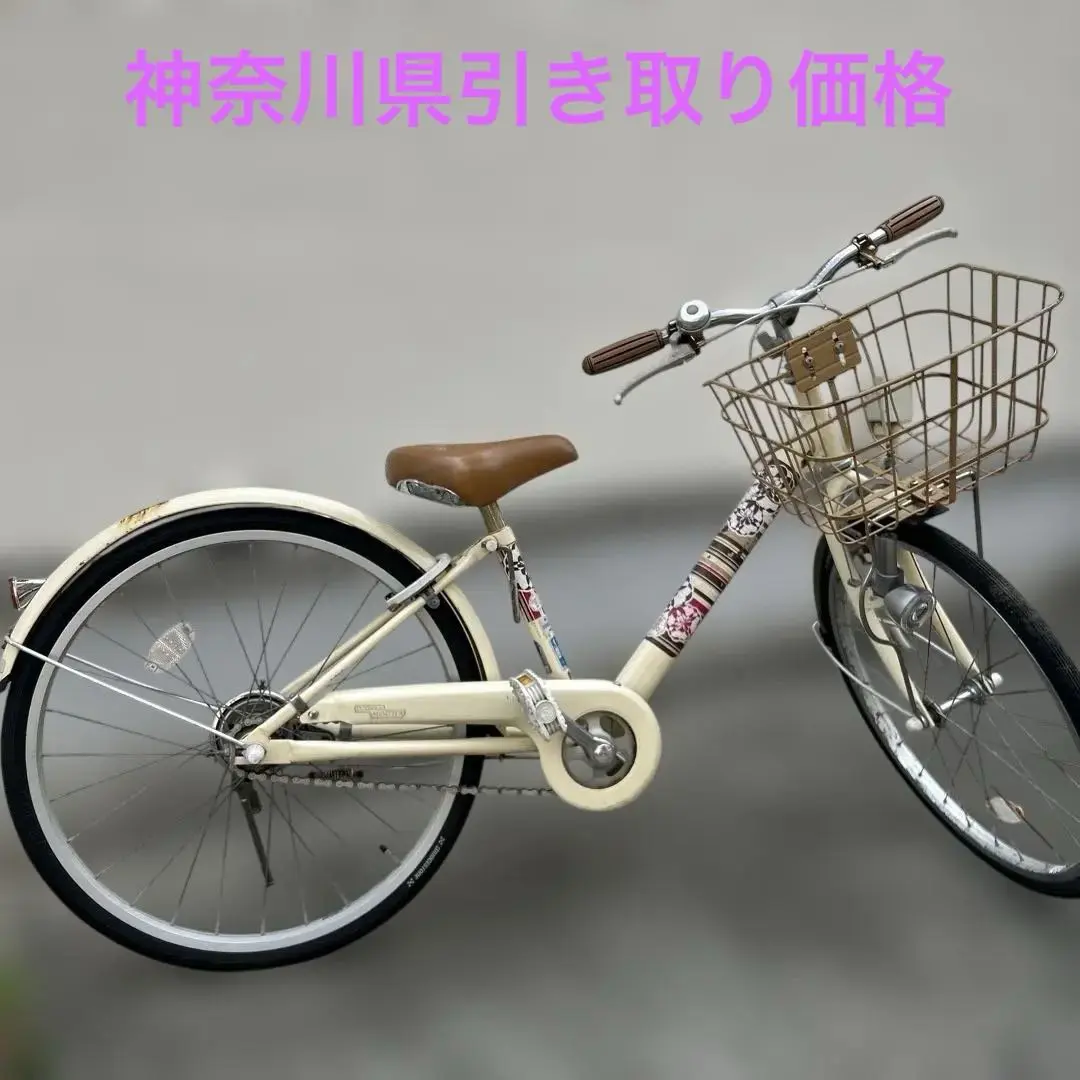 2026年最新】ブリヂストン エコパルの人気アイテム - メルカリ