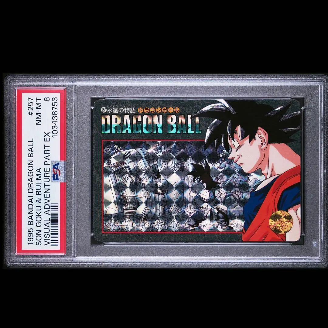 2026年最新】ビジュアルアドベンチャー 257の人気アイテム - メルカリ