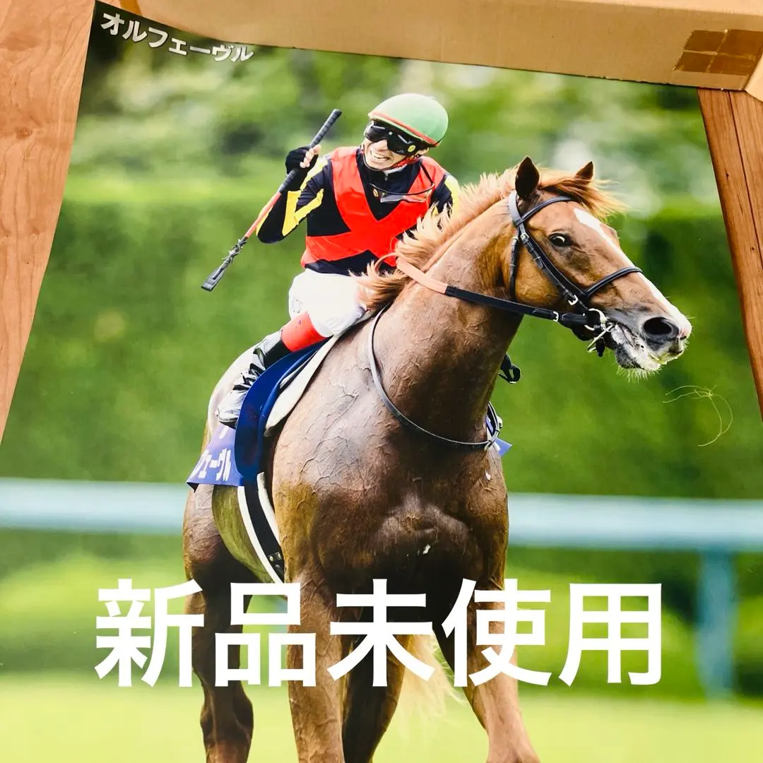 2026年最新】オルフェーヴル ポスターの人気アイテム - メルカリ