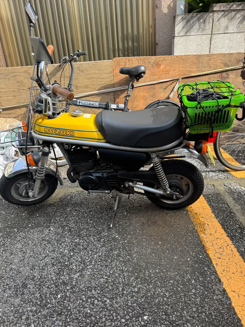 m55249747135_1.jpg?1758522149