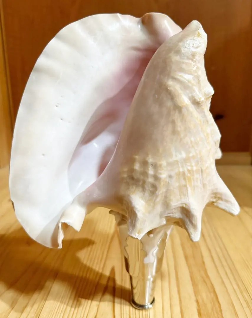 2026年最新】ほら貝 笛の人気アイテム - メルカリ