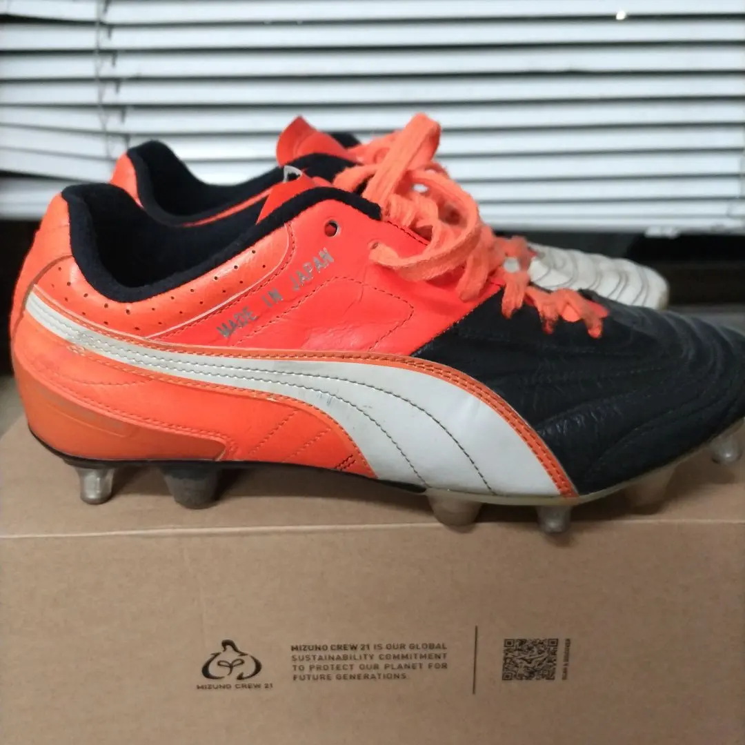 2026年最新】パラメヒコライトの人気アイテム - メルカリ