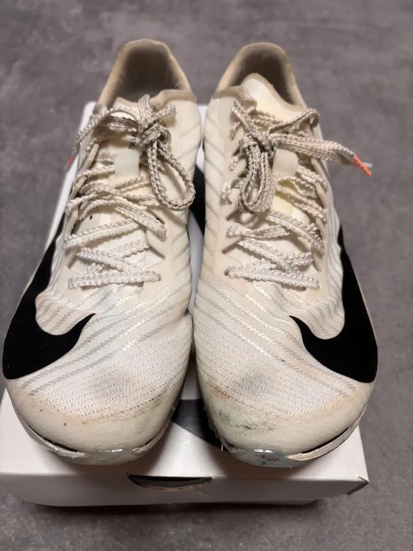 2026年最新】マックスフライ2 25.0の人気アイテム - メルカリ