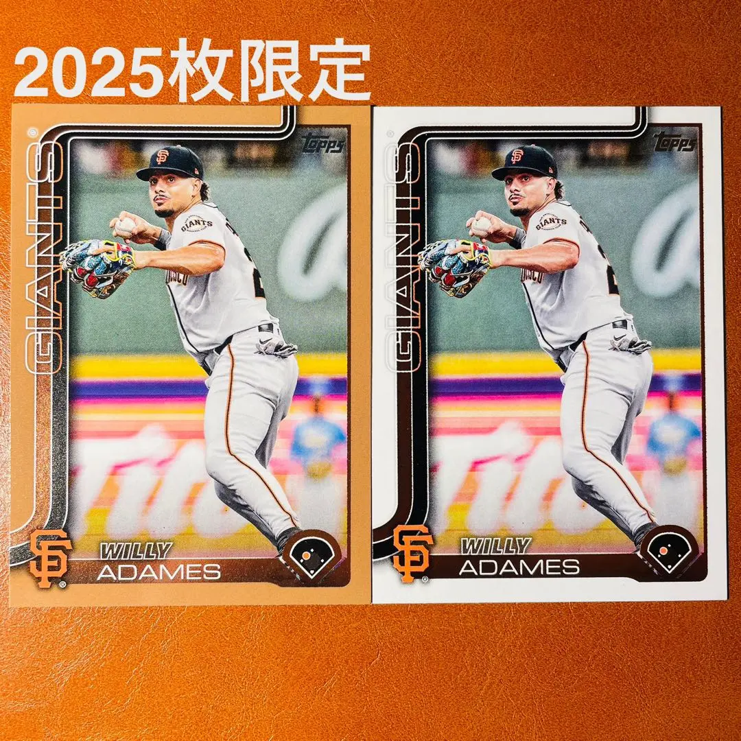 2026年最新】Willy adamesの人気アイテム - メルカリ