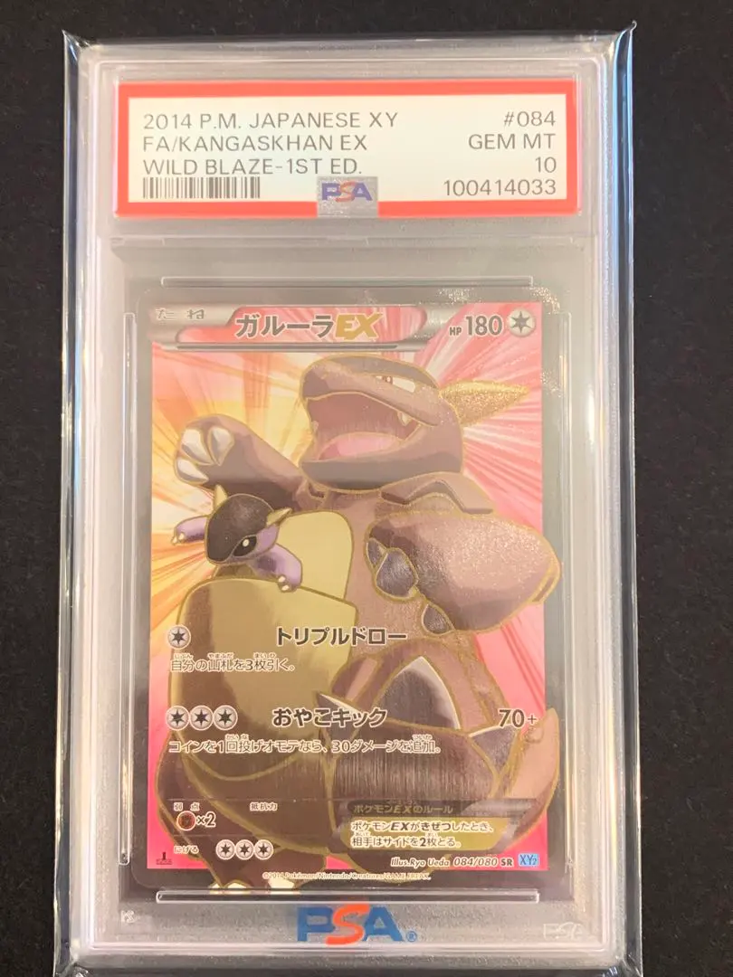 世界12枚ガルーラEX SR PSA10 アンリミワイルドブレイズ