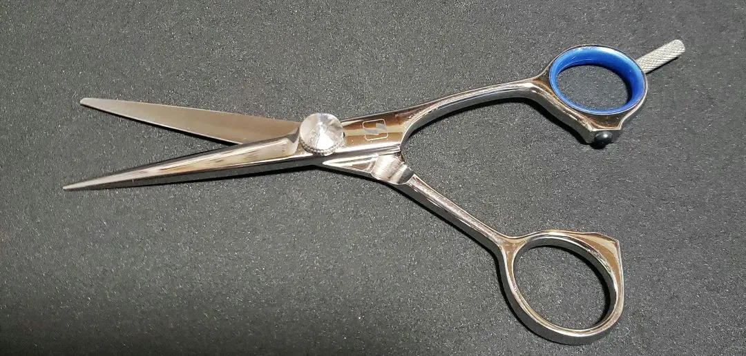 2026年最新】サクシード シザーの人気アイテム - メルカリ