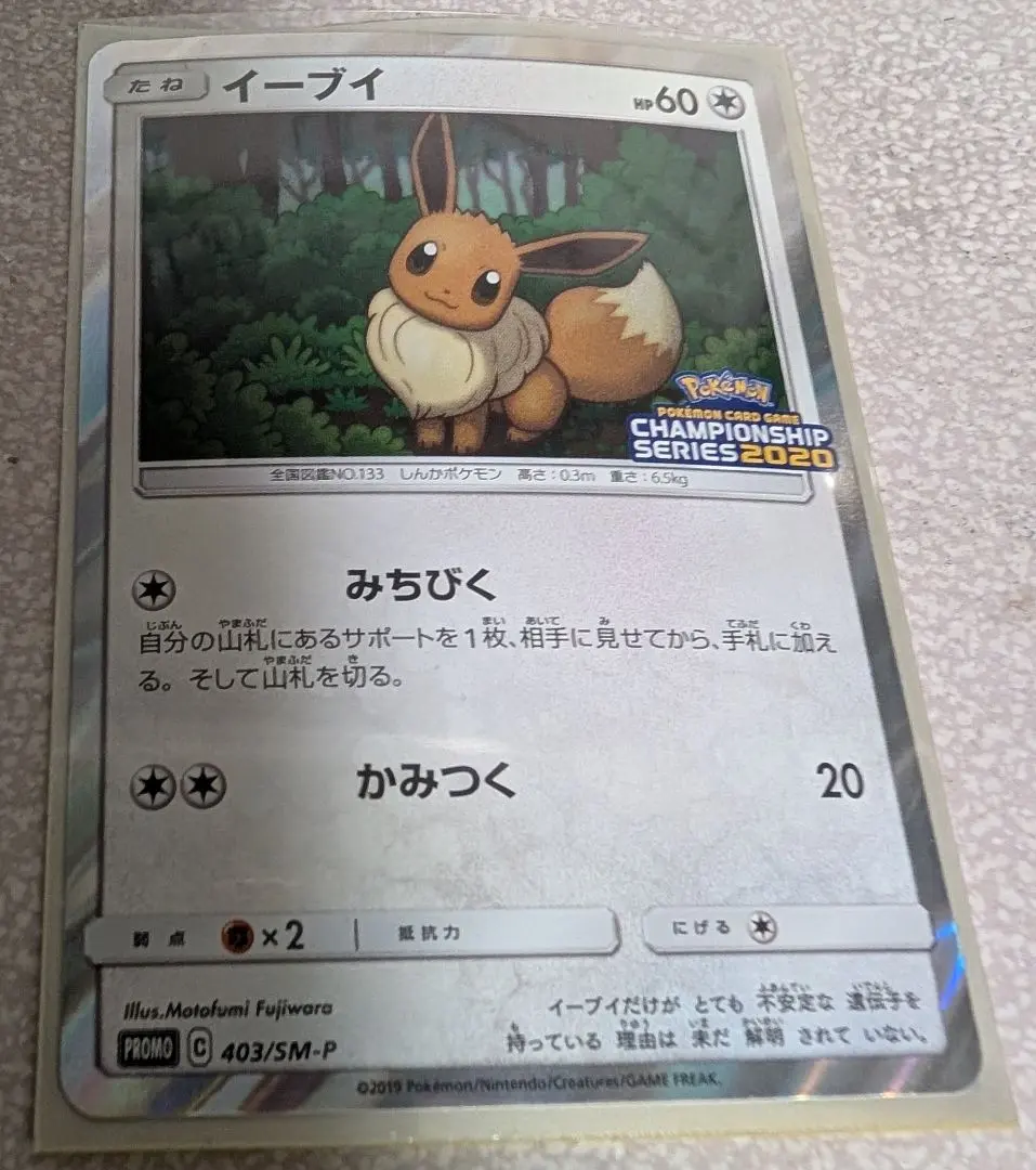 2026年最新】イーブイ チャンピオンの人気アイテム - メルカリ