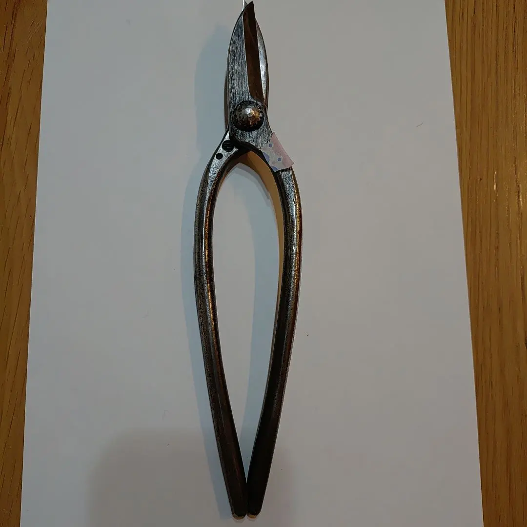 m58807536180_1.jpg?1766273012