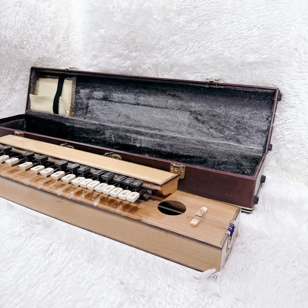 2026年最新】木村 大正琴の人気アイテム - メルカリ