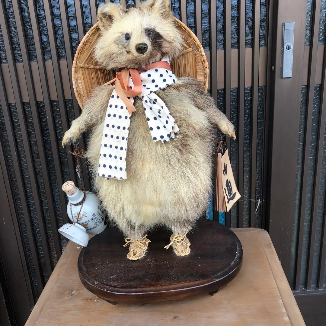 2026年最新】剥製 たぬきの人気アイテム - メルカリ