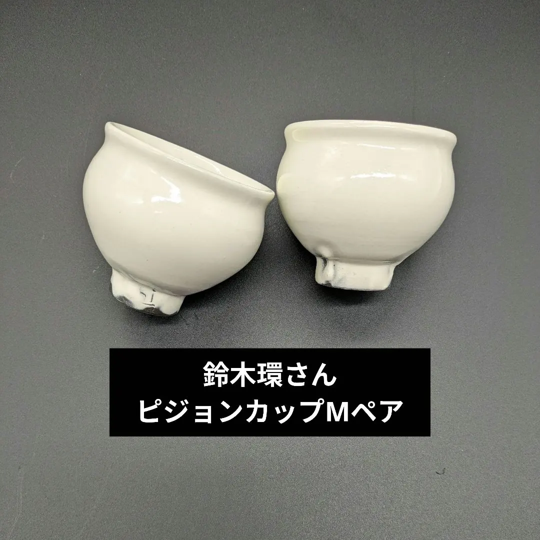 2026年最新】鈴木環 ピジョンカップの人気アイテム - メルカリ
