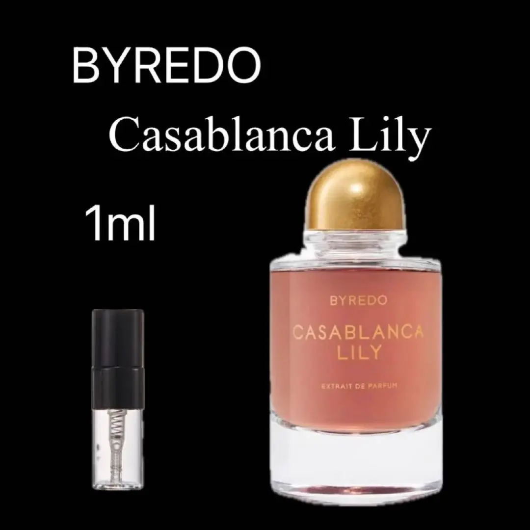 2026年最新】カサブランカリリー バイレードの人気アイテム - メルカリ