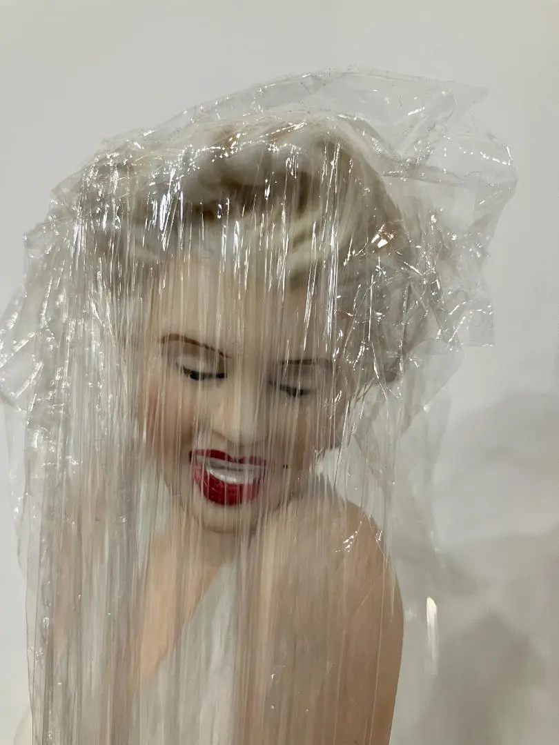 2026年最新】マリリンモンロー 酒の人気アイテム - メルカリ