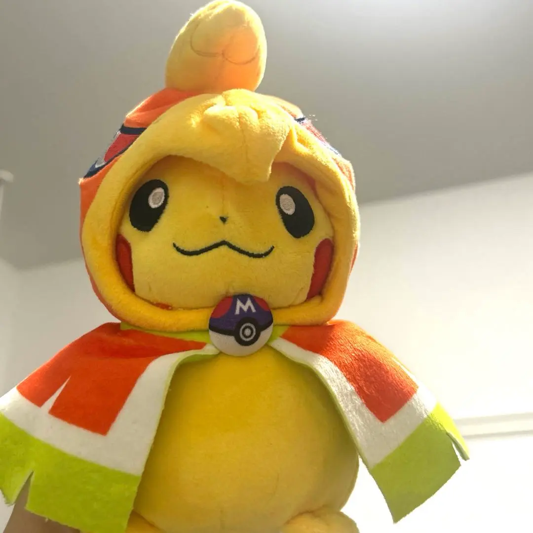 2026年最新】ホウオウポンチョ ピカチュウの人気アイテム - メルカリ