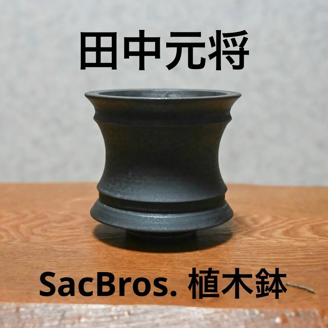 2026年最新】田中元将 鉢の人気アイテム - メルカリ