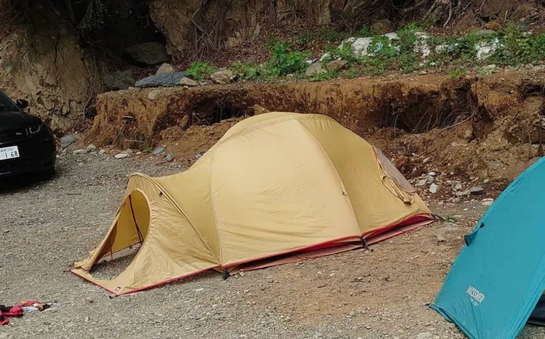 2026年最新】moss スタードームの人気アイテム - メルカリ