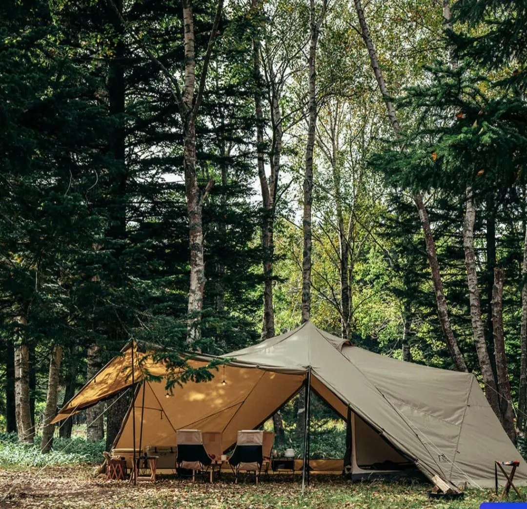 2026年最新】スカイパイロットTCの人気アイテム - メルカリ