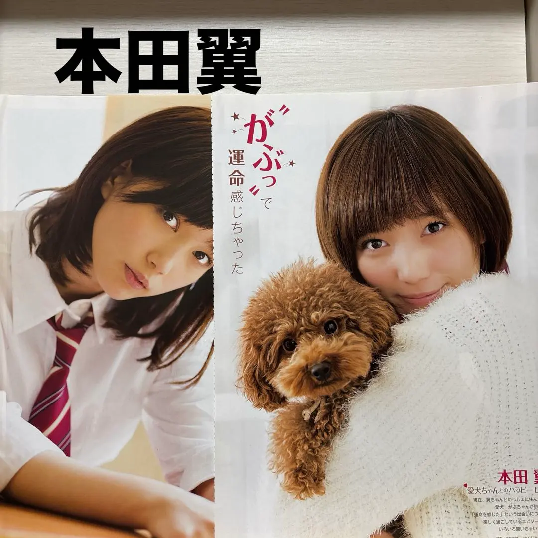 2026年最新】本田翼 チェキの人気アイテム - メルカリ