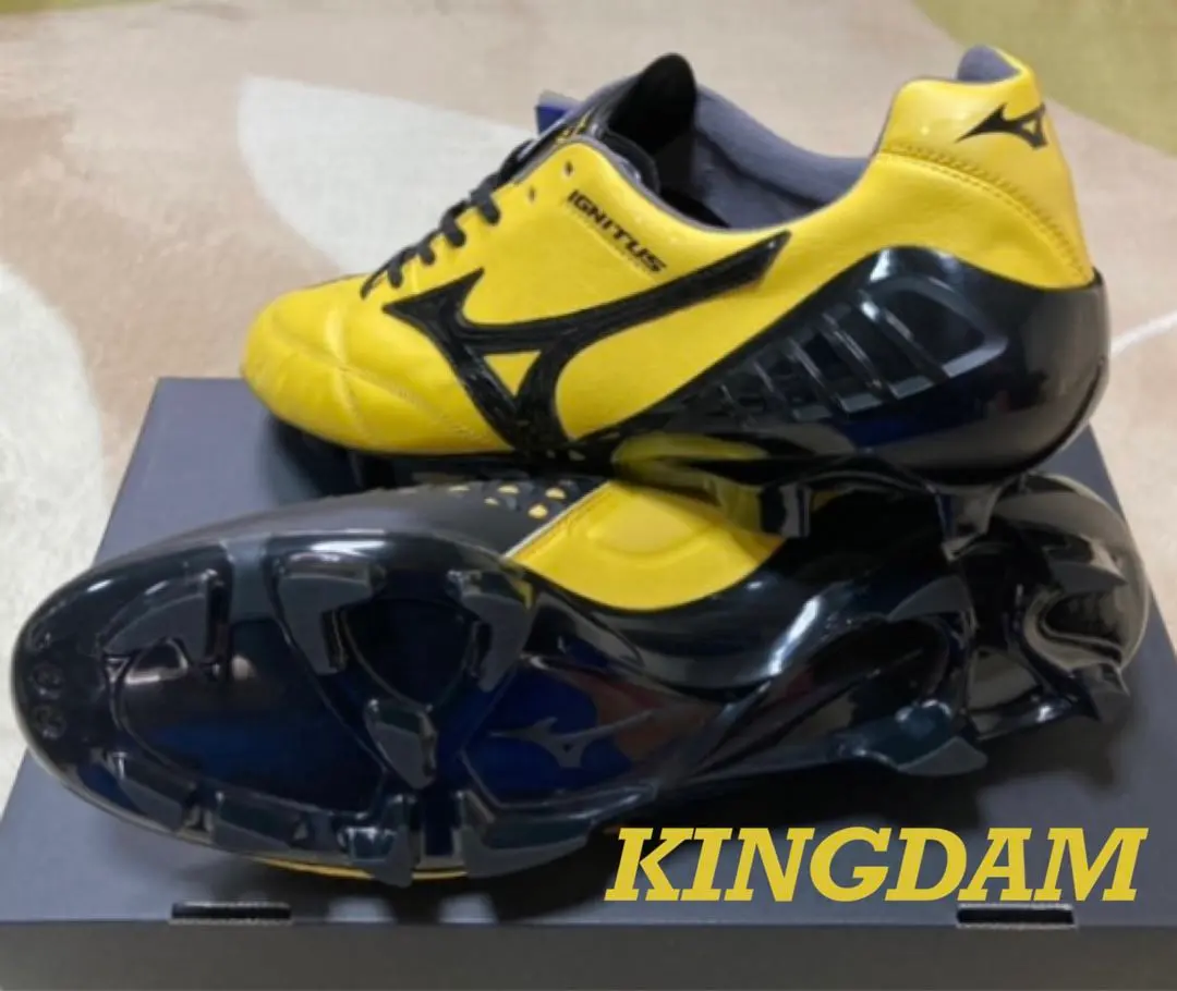 2026年最新】イグニタス japanの人気アイテム - メルカリ