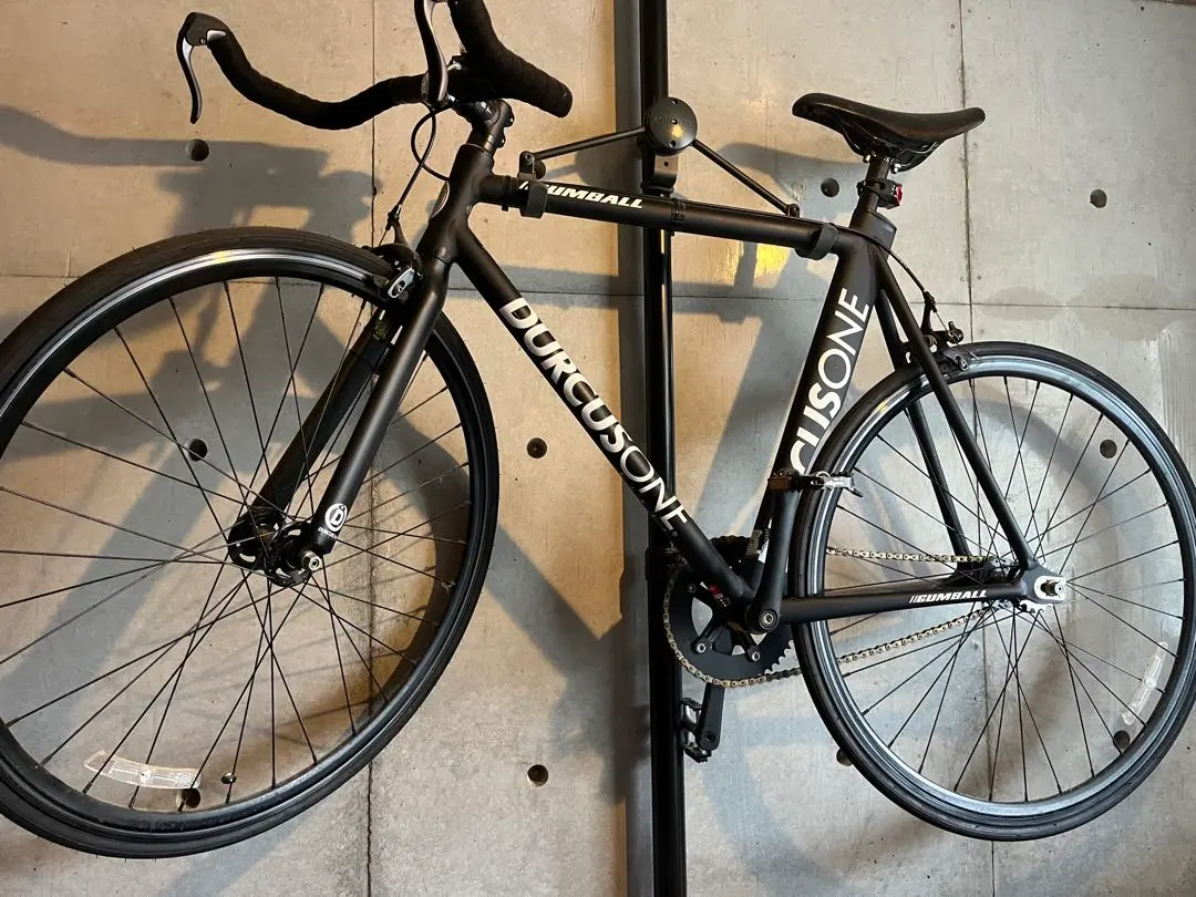 2026年最新】ダーカスワンの人気アイテム - メルカリ