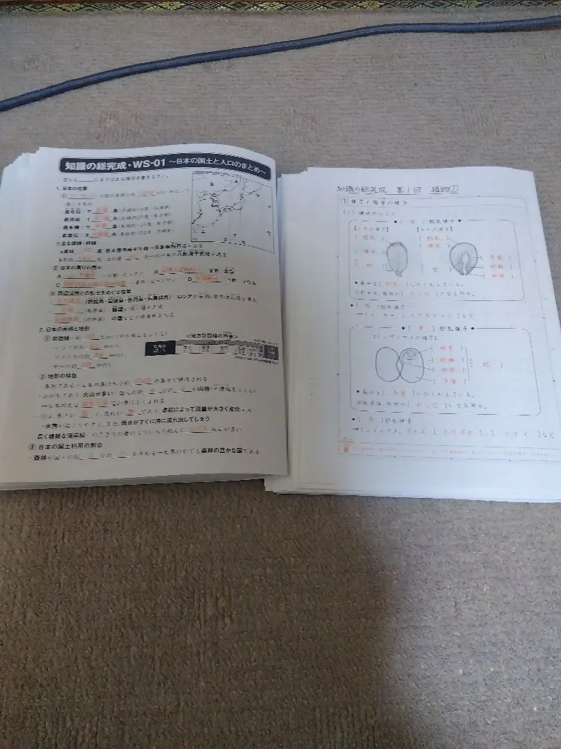 2026年最新】知識の総完成 理科の人気アイテム - メルカリ