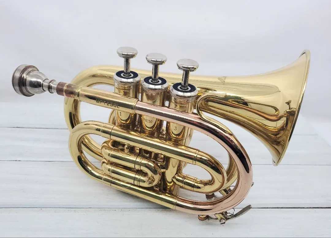 2026年最新】minerva トランペットの人気アイテム - メルカリ