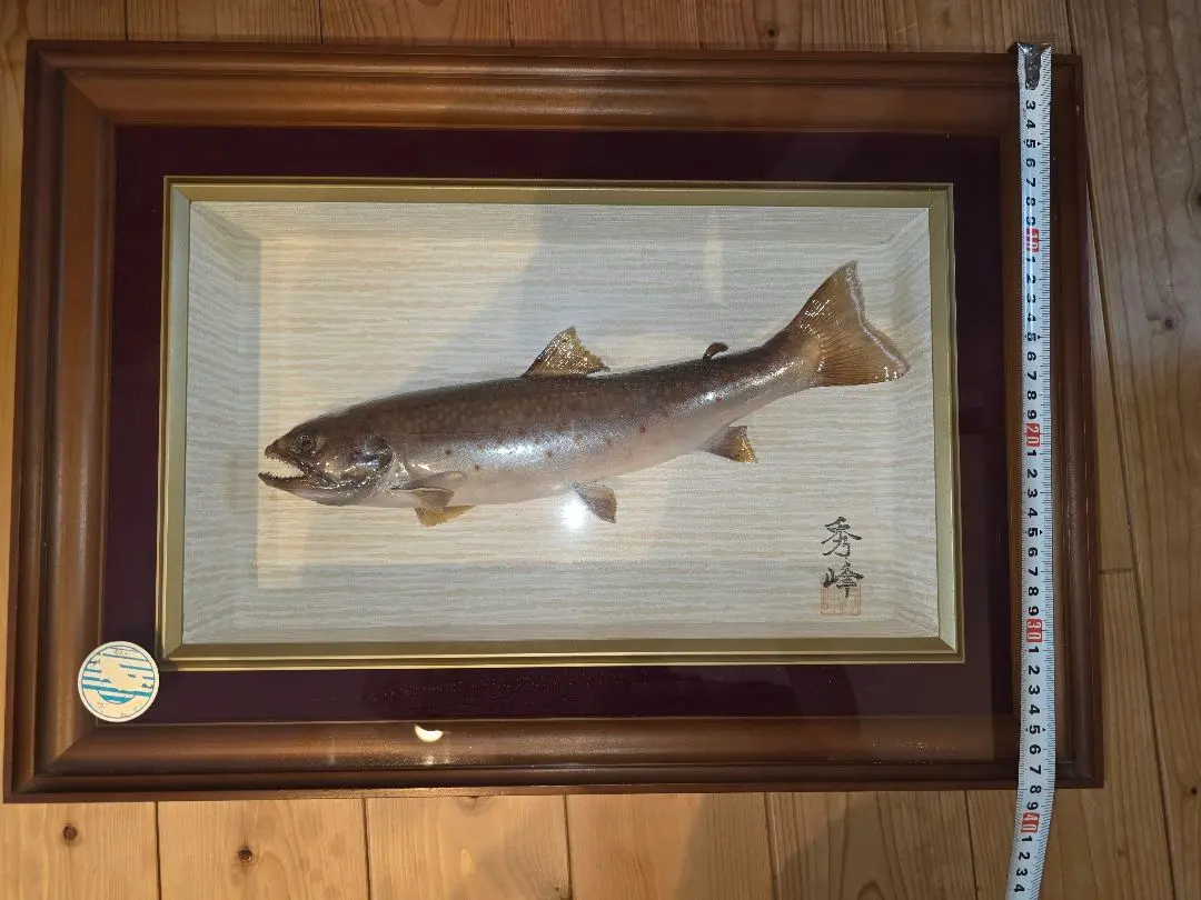 2026年最新】イワナ剥製の人気アイテム - メルカリ