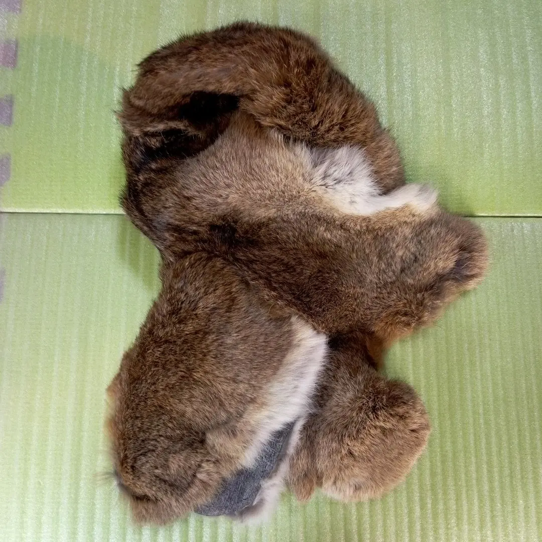 2026年最新】ラビット 尻あての人気アイテム - メルカリ