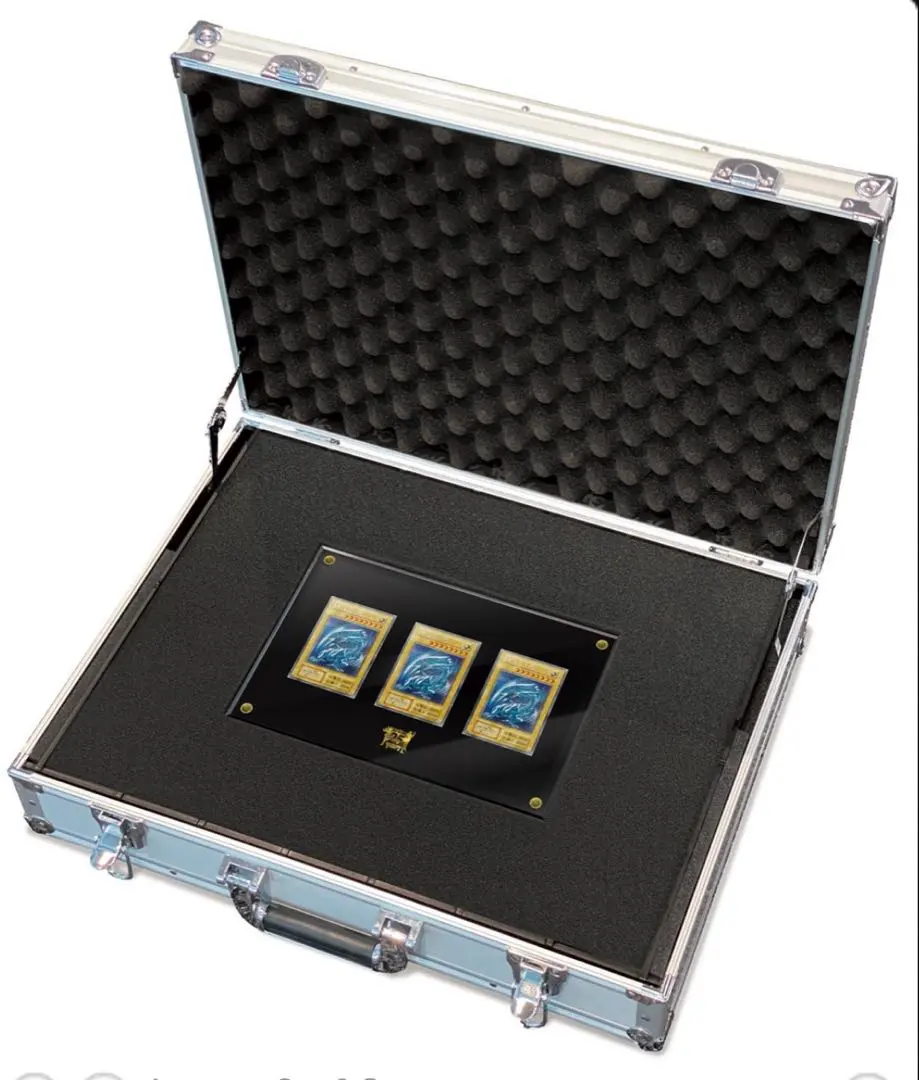 m72167301704_1.jpg?1742618848