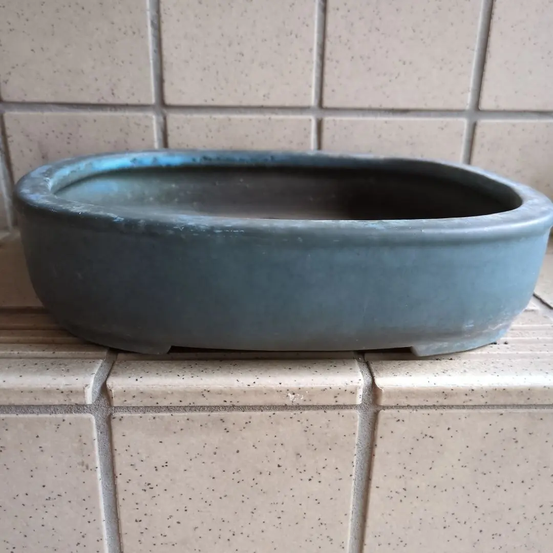 2026年最新】盆栽鉢 鴻陽の人気アイテム - メルカリ