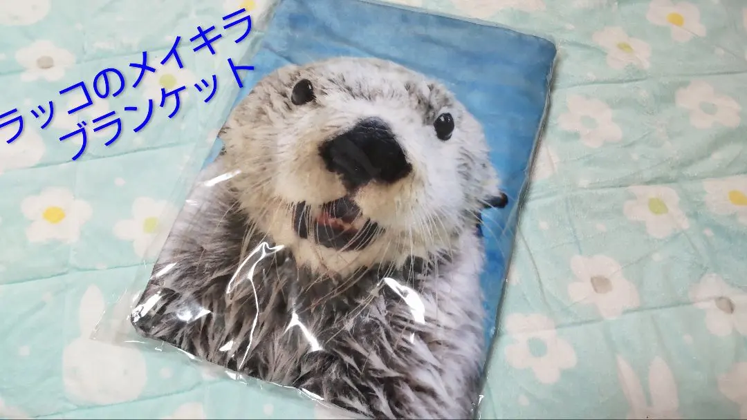 2026年最新】鳥羽水族館 ブランケットの人気アイテム - メルカリ