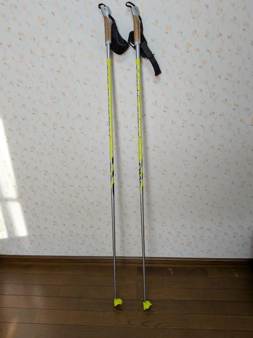 2026年最新】クロスカントリースキー ポールの人気アイテム - メルカリ