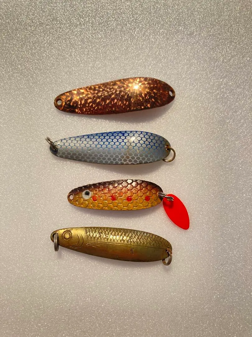 2026年最新】パラバンサラマンダーの人気アイテム - メルカリ